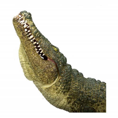 Крокодил AMW2068 фото 6