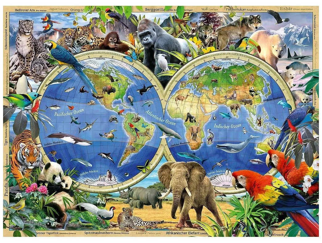 Животные на земном шаре. Животный мир земли. Планета животных. Мир животных и растений.