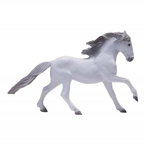 Лузитанская лошадь, белая фото 2