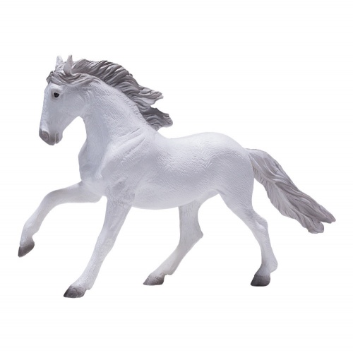 Лузитанская лошадь, белая фото 4