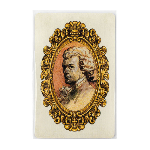 Протекторы GaGa 56x87мм Стандарт (110 шт.) фото 4