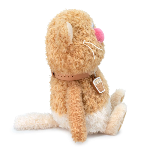 Раф 16 фото 6