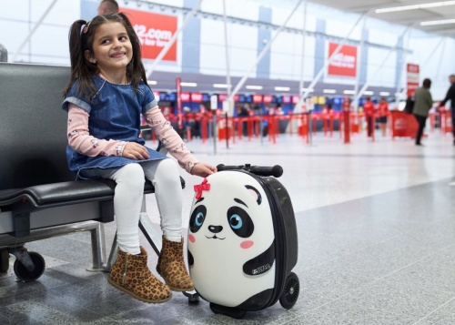 Самокат-чемодан ZINC "Панда", серия Flyte фото 9