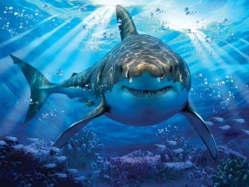 Стерео пазл PRIME 3D 10048 Большая белая акула фото 3