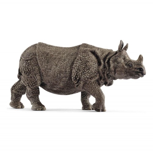 Индийский носорог фото 2