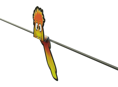 ФотоПташки фото 5