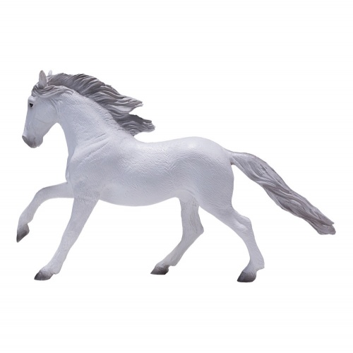 Лузитанская лошадь, белая фото 3