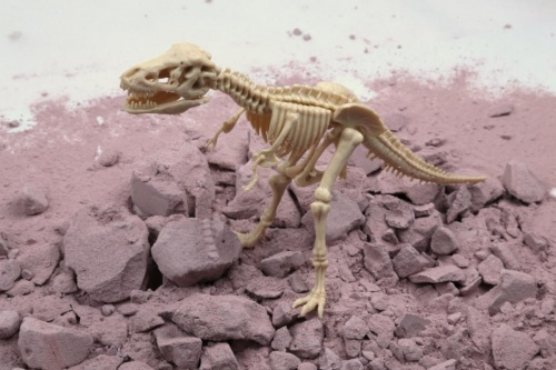Набор 4M 00-03221 Раскопай скелет. Тираннозавр фото 5