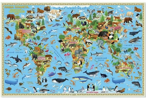 Карта Мира настольная двухсторонняя. Наша планета. Животный и растительный мир. 58х38 см ЛАМ ГЕОДОМ фото 6