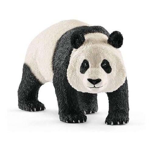 Гигантская панда, самец фото 2