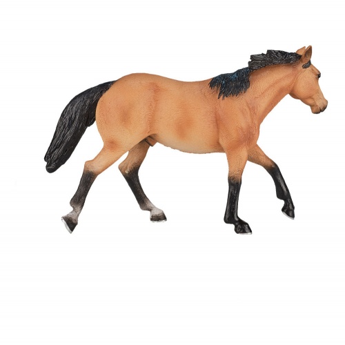 Лошадь Квотерхорс, буланая фото 3