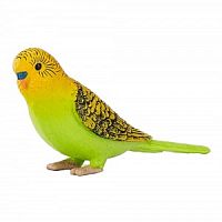 Волнистый попугайчик, зеленый