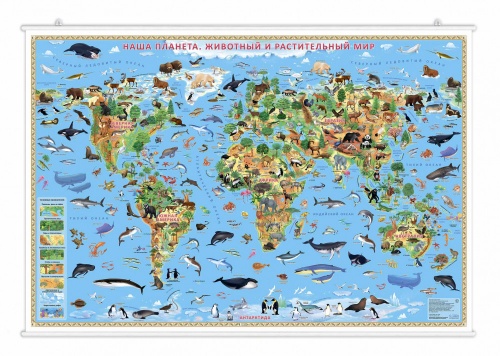Карта настенная на рейках. Наша планета. Животный и растительный мир. 101х69 см. ЛАМ ГЕОДОМ фото 4