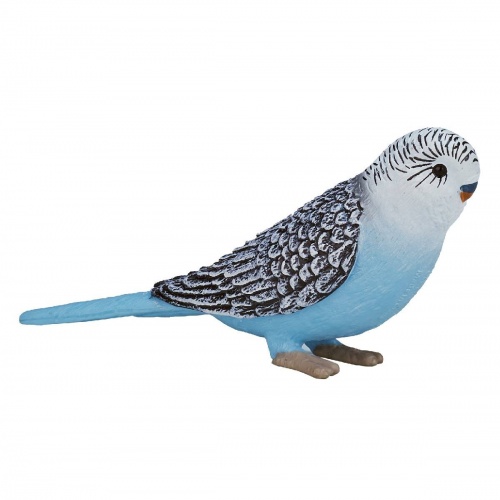 Волнистый попугайчик, голубой фото 3