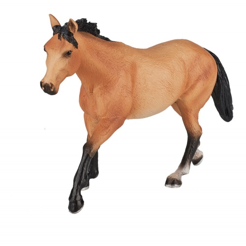 Лошадь Квотерхорс, буланая фото 5
