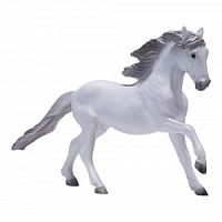 Лузитанская лошадь, белая