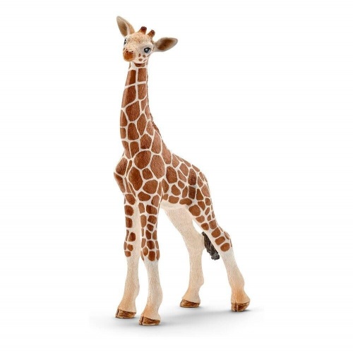 Жираф, детёныш фото 2