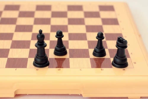 Настольная игра ДЕСЯТОЕ КОРОЛЕВСТВО 3883 шахматы в пласт.коробке фото 3