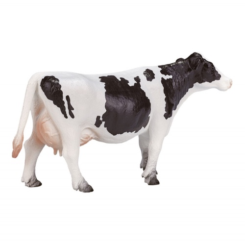 Голштинская корова фото 3