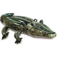 "Настоящий" крокодил RIDE-ON от 3 лет 170*86см