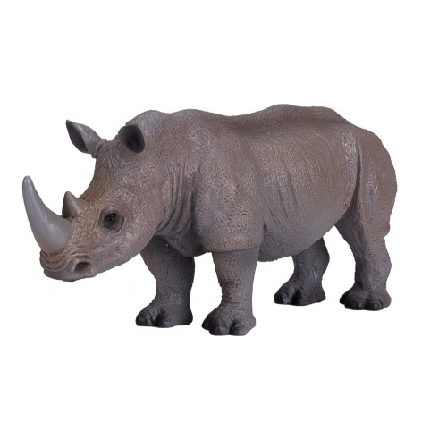 Белый носорог фото 4