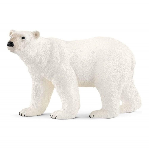 Белый медведь фото 2