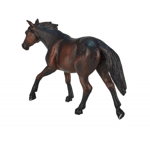 Лошадь Квотерхорс, темно-гнедая фото 3