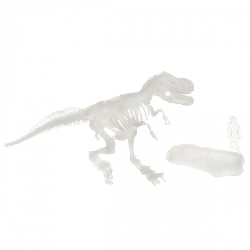 Исторические раскопки Науки с Буки BONDIBON Тираннозавр (светящийся в темноте) фото 5