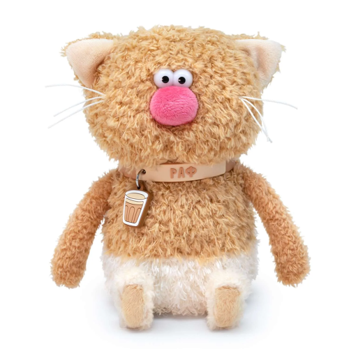 Раф 16 фото 4