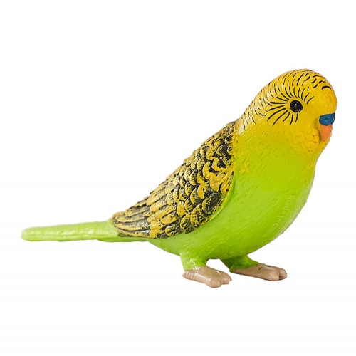 Волнистый попугайчик, зеленый фото 3