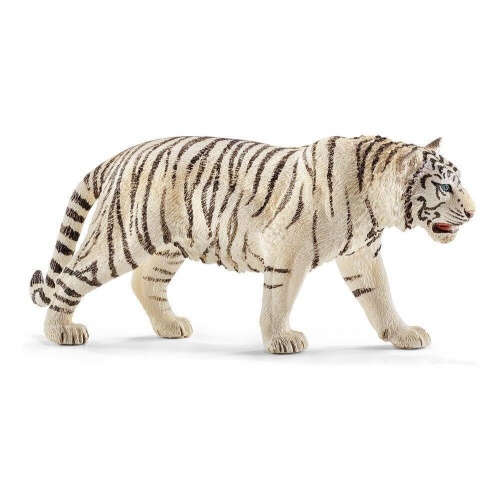 Белый тигр фото 2