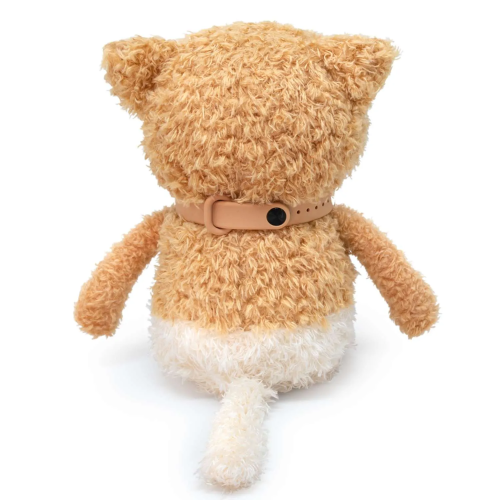 Раф 16 фото 7