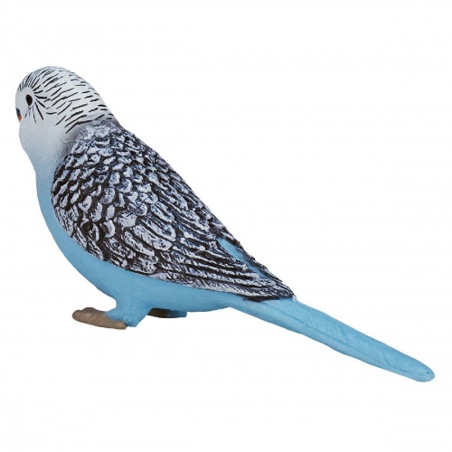 Волнистый попугайчик, голубой фото 5
