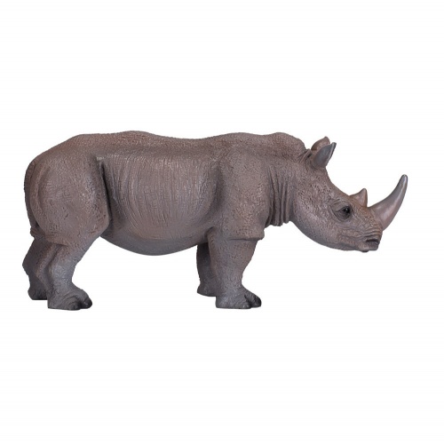 Белый носорог фото 2