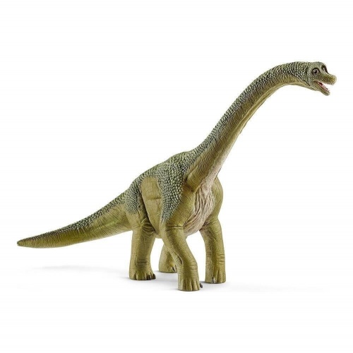Брахиозавр фото 2