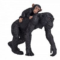 Шимпанзе с детенышем