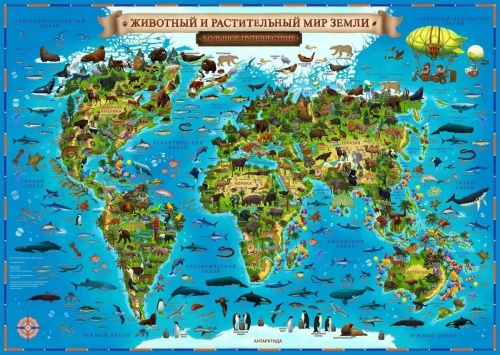 Карта GLOBEN КН011 интерактивная.Животный и растительный мир Земли для детей фото 2
