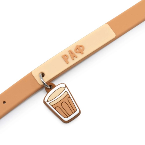 Раф 16 фото 2