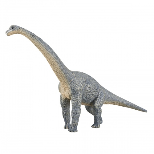 Брахиозавр, голубой фото 5
