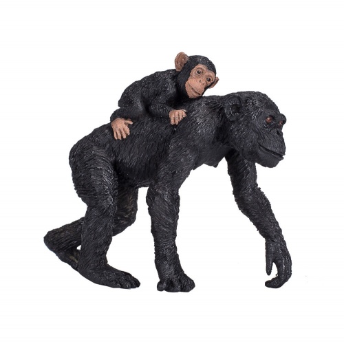 Шимпанзе с детенышем фото 4