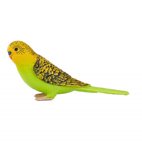 Волнистый попугайчик, зеленый фото 2