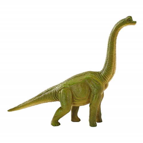 Брахиозавр, зеленый фото 4