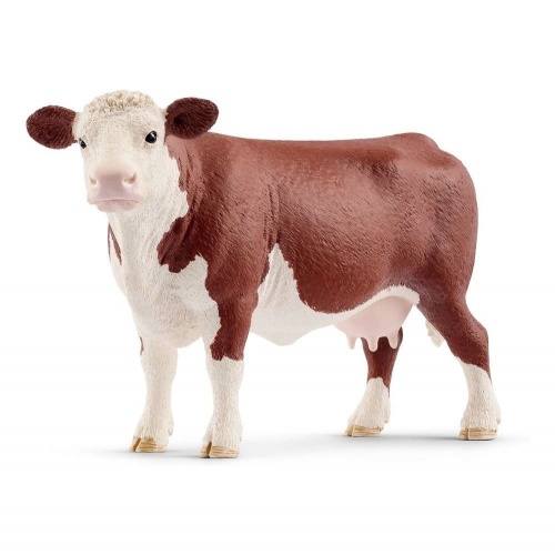 Герефордская корова фото 2
