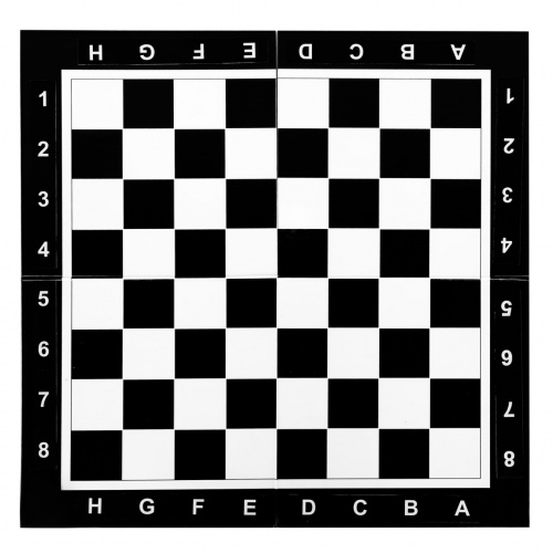 Логическая игра КРАСНОКАМСКАЯ ИГРУШКА ЛИ-16 Кото-шахматы фото 4