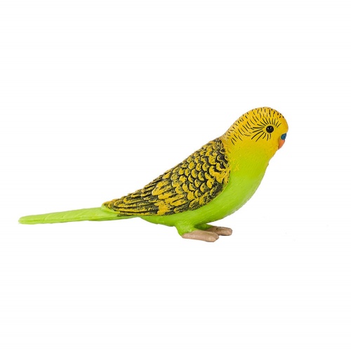 Волнистый попугайчик, зеленый фото 4