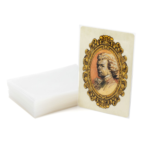 Протекторы GaGa 56x87мм Стандарт (110 шт.) фото 3