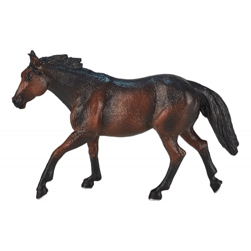 Лошадь Квотерхорс, темно-гнедая фото 4