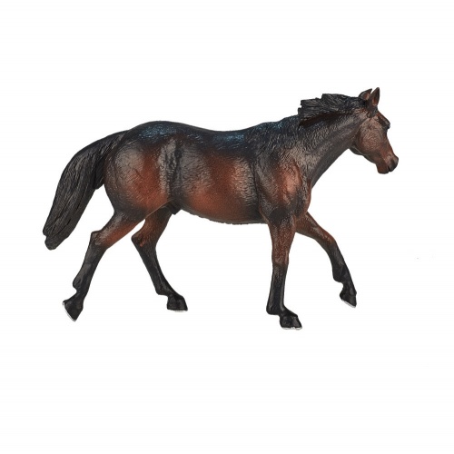 Лошадь Квотерхорс, темно-гнедая фото 2