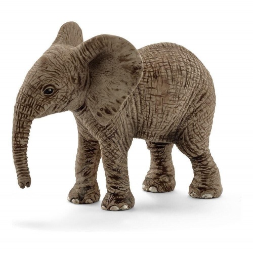 Африканский слон, детёныш фото 2