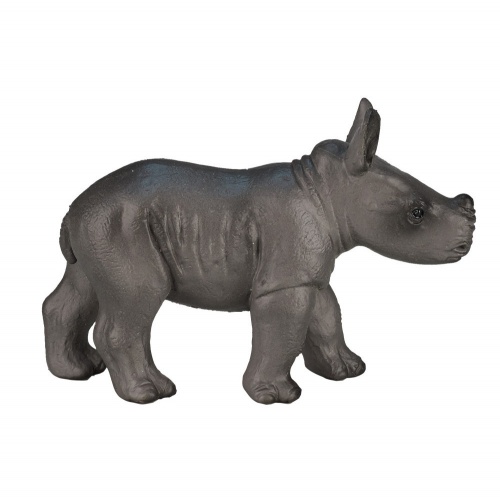 Носорог, детёныш фото 5